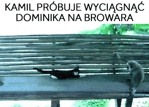 
    Kamil próbuje wyciągnąć Dominika na browara