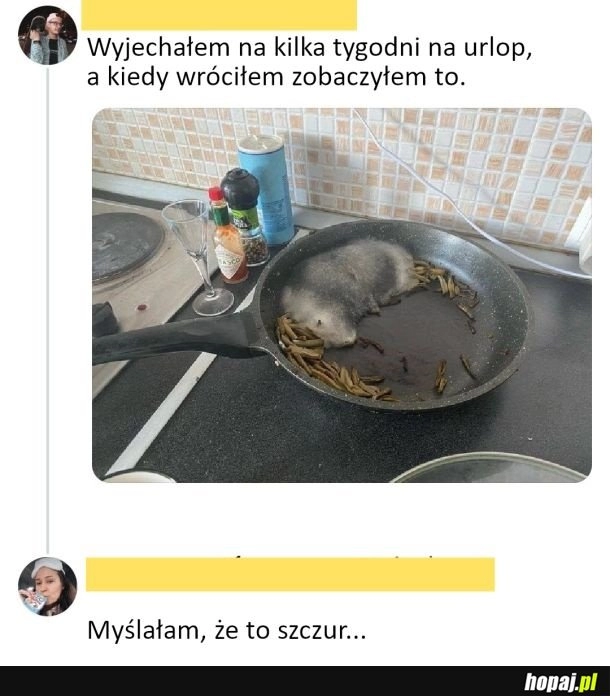 
    Wygląda jak szczur