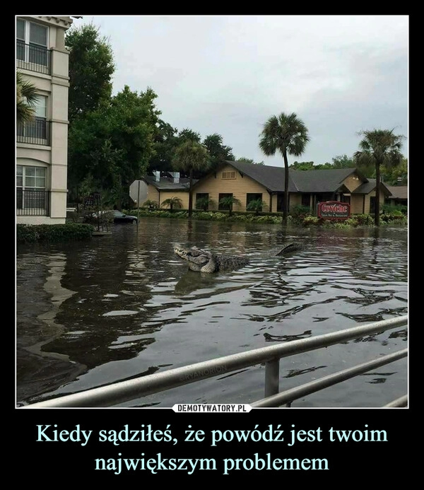 
    Kiedy sądziłeś, że powódź jest twoim największym problemem 