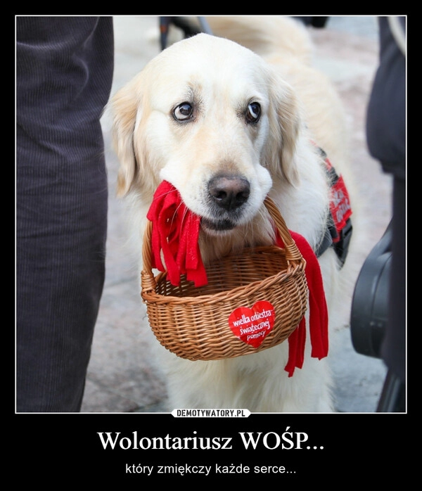 
    Wolontariusz WOŚP...