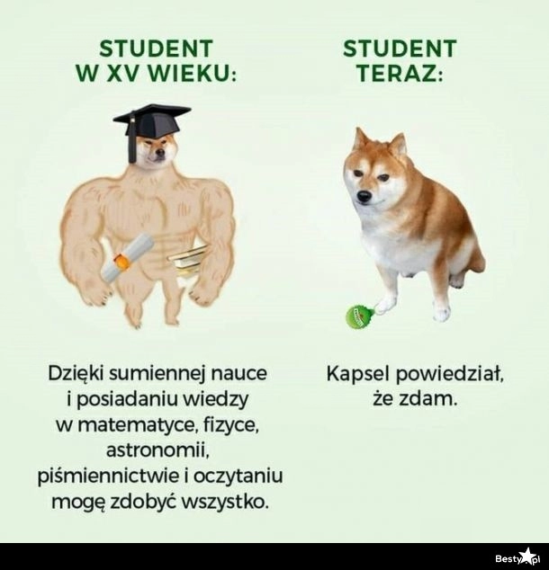 
    Studenci 