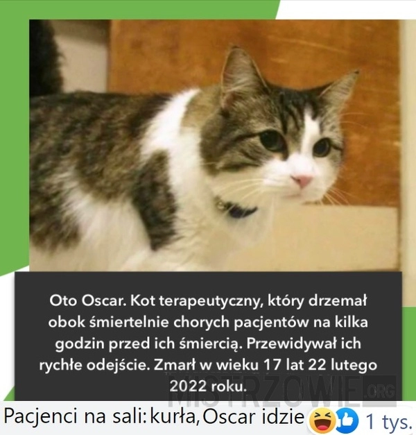 
    Oscar