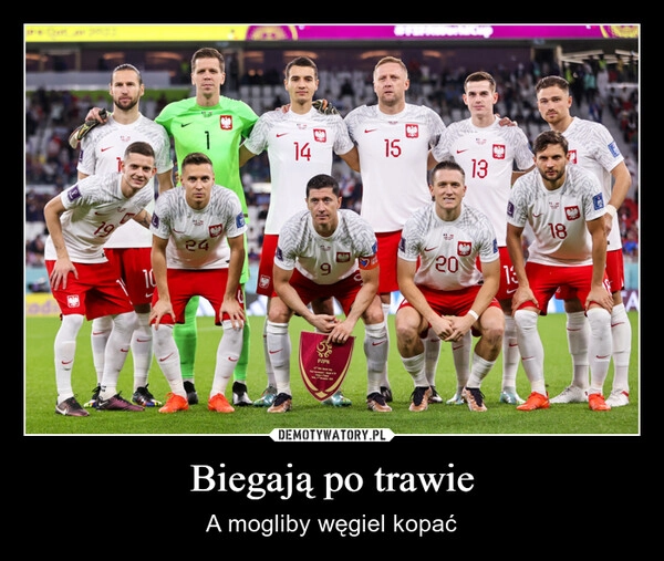 
    Biegają po trawie