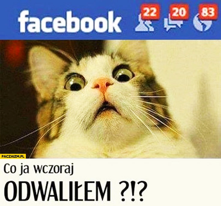 
    Powiadomienia na facebooku co ja wczoraj odwaliłem kot