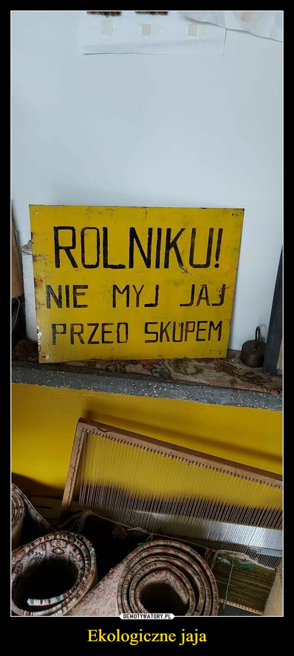 
    Ekologiczne jaja