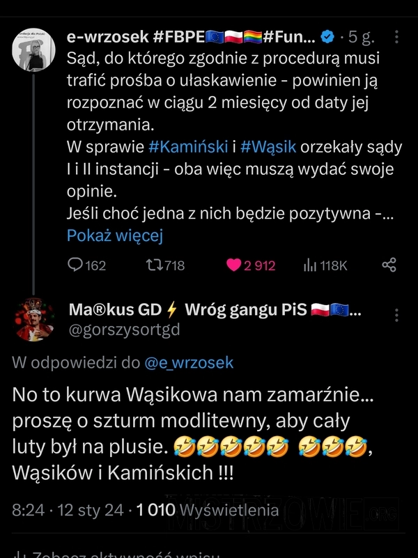 
    Wąsiki