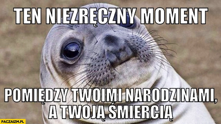 
    Ten niezręczny moment pomiędzy Twoimi narodzinami a Twoja śmiercią