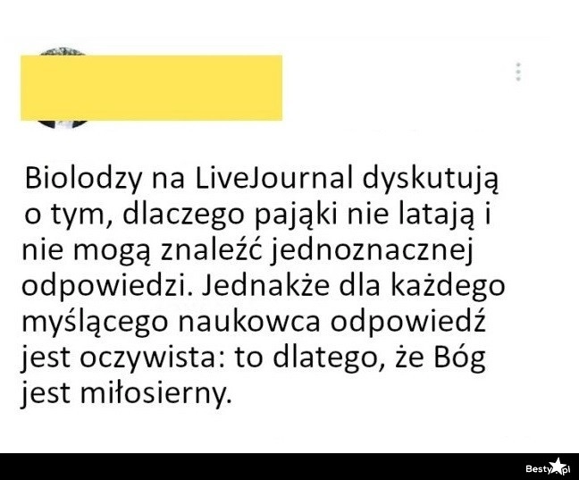 
    Dlaczego pająki nie latają? 