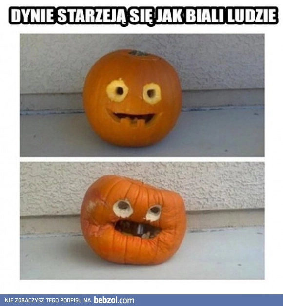 
    Dynie