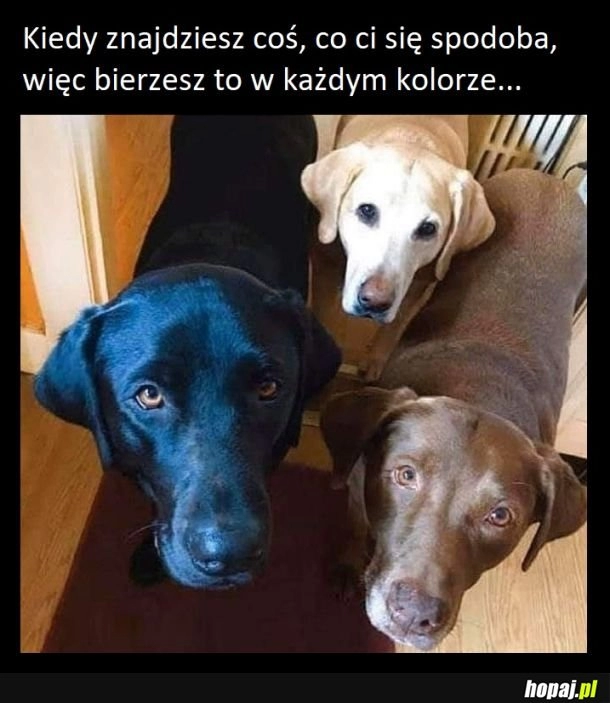 
    Mam je wszytskie