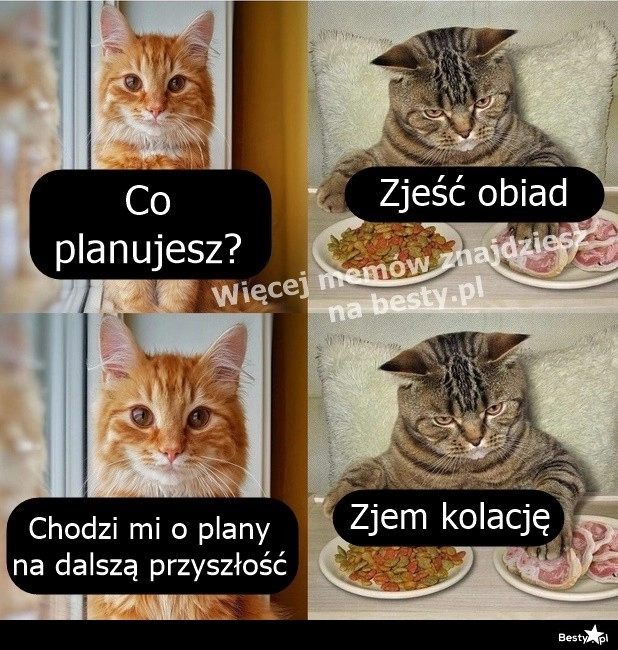 
    Plany na przyszłość 