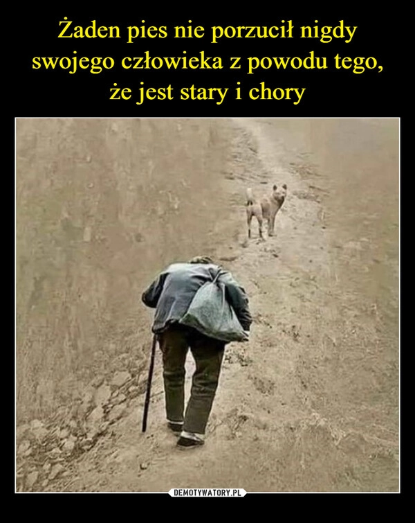 
    Żaden pies nie porzucił nigdy swojego człowieka z powodu tego, że jest stary i chory