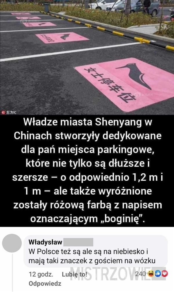 
    Miejsce parkingowe dla kobiet