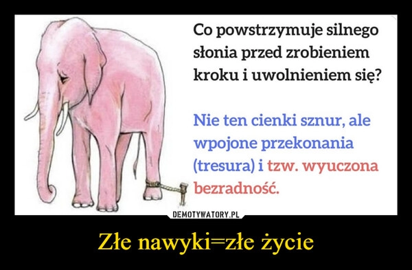 
    Złe nawyki=złe życie