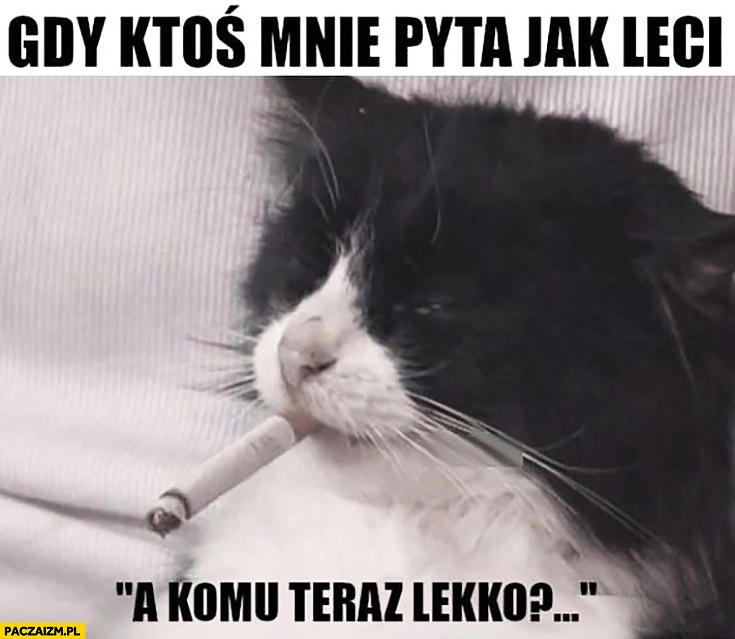 
    Gdy ktoś mnie pyta jak leci a komu teraz lekko kot z papierosem