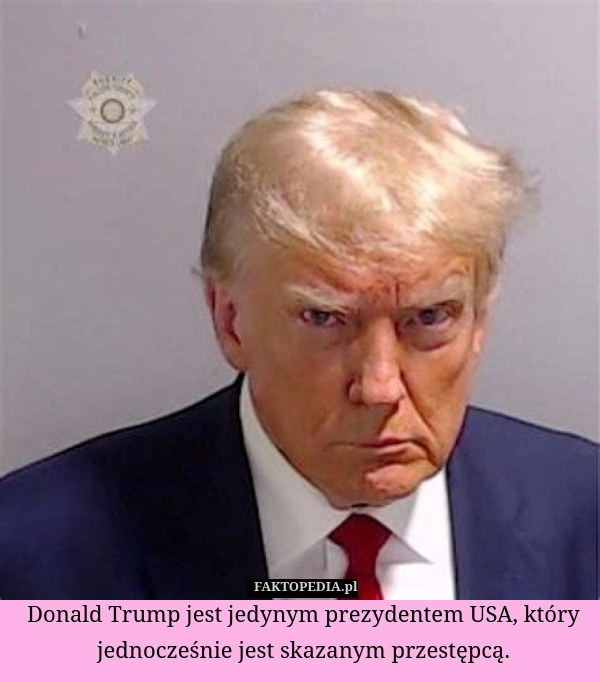 
    Donald Trump jest jedynym prezydentem USA, który jednocześnie jest skazanym