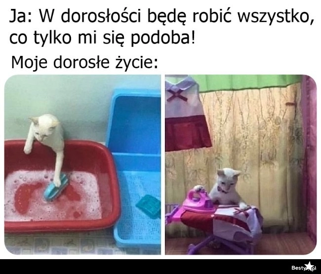 
    Życie zweryfikowało 