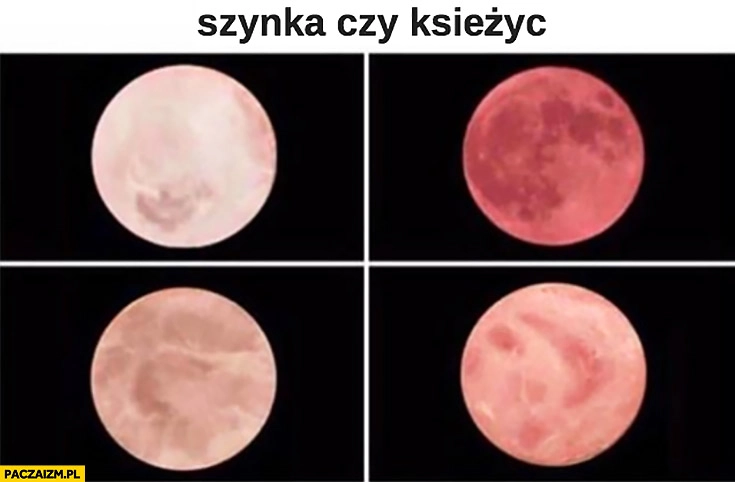 
    Szynka czy księżyc zagadka