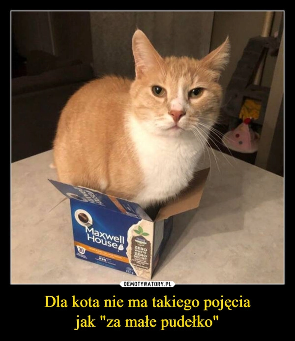 
    Dla kota nie ma takiego pojęcia
jak "za małe pudełko"