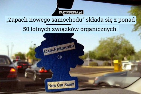 
    „Zapach nowego samochodu” składa się z ponad 50 lotnych związków organicznych.