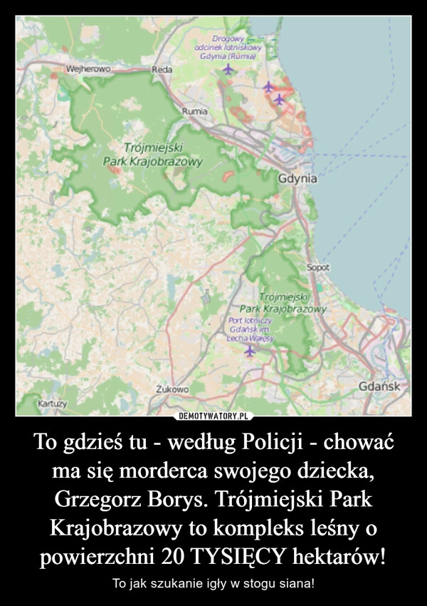 
    To gdzieś tu - według Policji - chować ma się morderca swojego dziecka, Grzegorz Borys. Trójmiejski Park Krajobrazowy to kompleks leśny o powierzchni 20 TYSIĘCY hektarów!