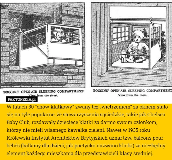 
    
			W latach 30 "chów klatkowy" zwany też „wietrzeniem” za oknem stało					