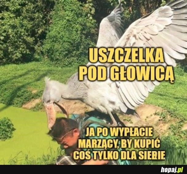 
    Wredna uszczelka!