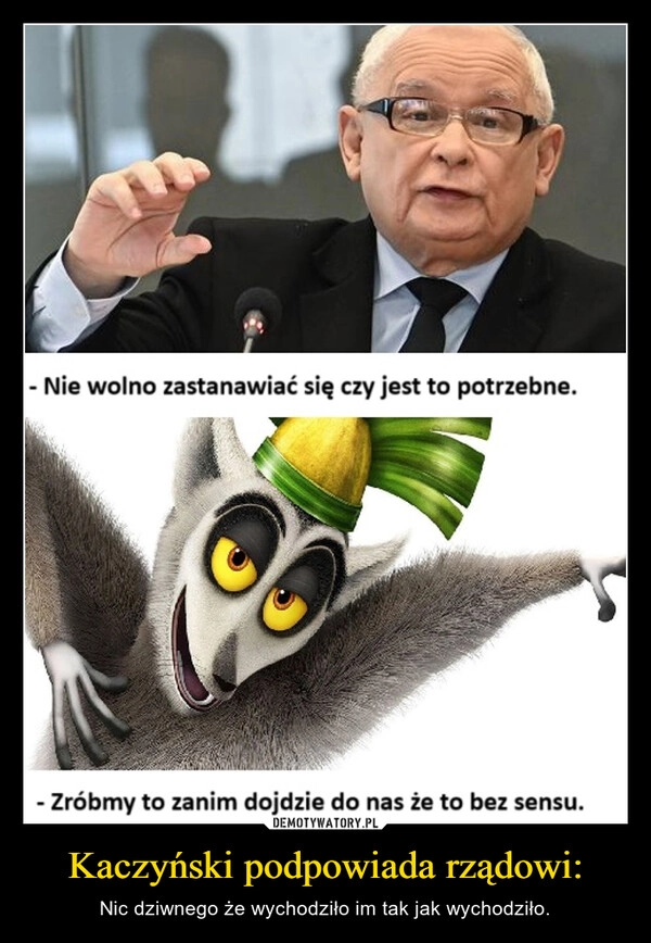 
    Kaczyński podpowiada rządowi: