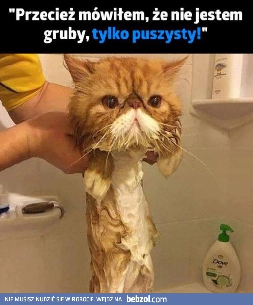 
    Koteł nie kłamał