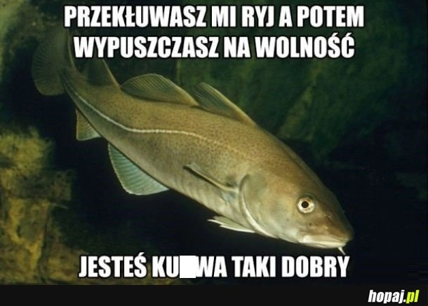 
    Łowienie ryb