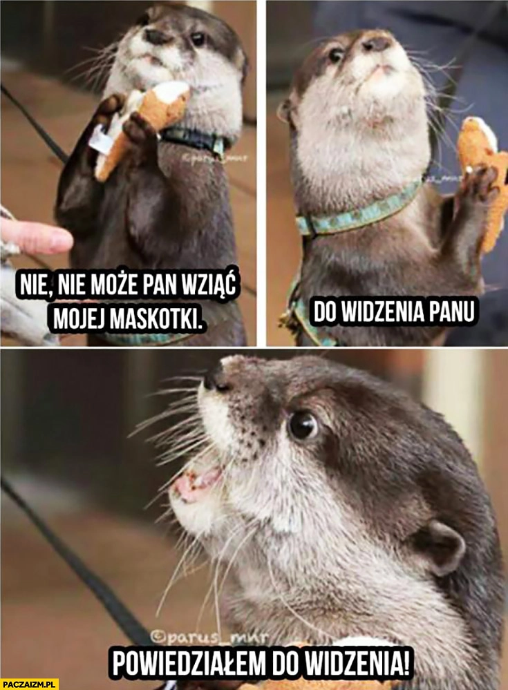 
    Nie może Pan wziąć mojej maskotki, do widzenia Panu, powiedziałem do widzenia wydra