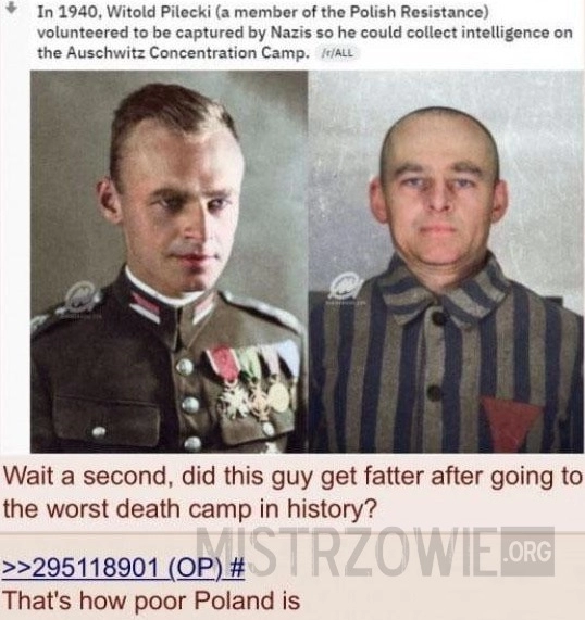 
    Pilecki