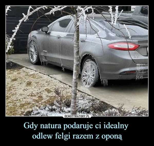 
    Gdy natura podaruje ci idealny
odlew felgi razem z oponą 