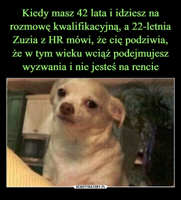 
    Kiedy masz 42 lata i idziesz na rozmowę kwalifikacyjną, a 22-letnia Zuzia z HR mówi, że cię podziwia, że w tym wieku wciąż podejmujesz wyzwania i nie jesteś na rencie 