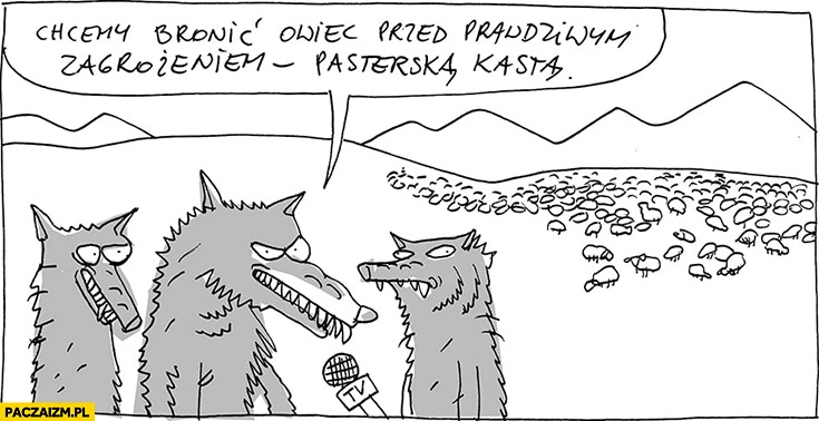 
    Wilki chcemy bronic owiec przed prawdziwym zagrożeniem pasterską kastą