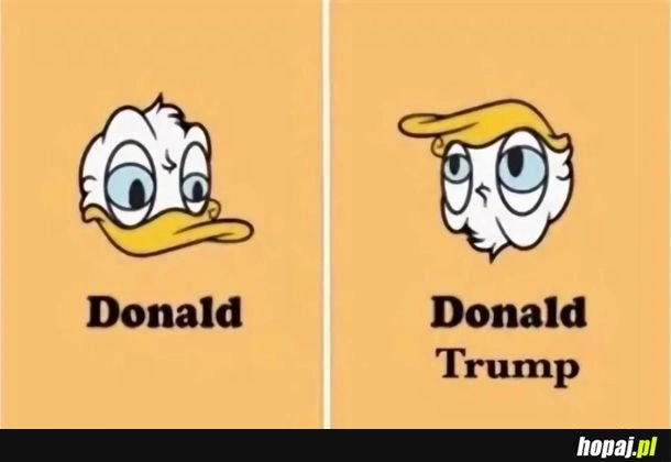 
    Donald