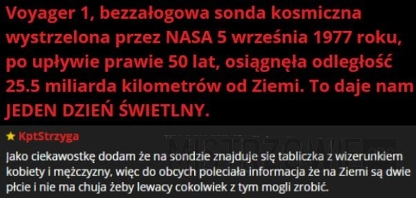 
    Sonda