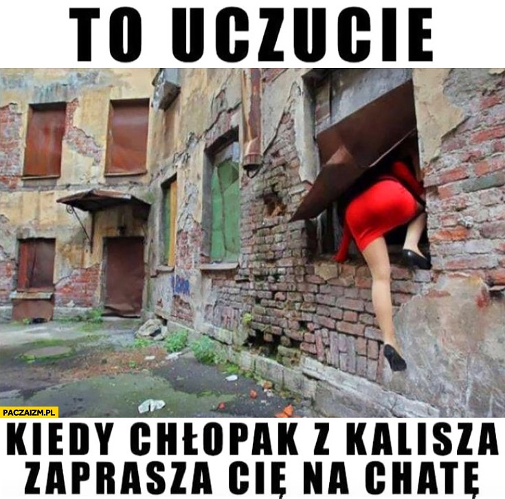 
    To uczucie kiedy chłopak z Kalisza zaprasza Cię na chatę wchodzi przez okno do rudery