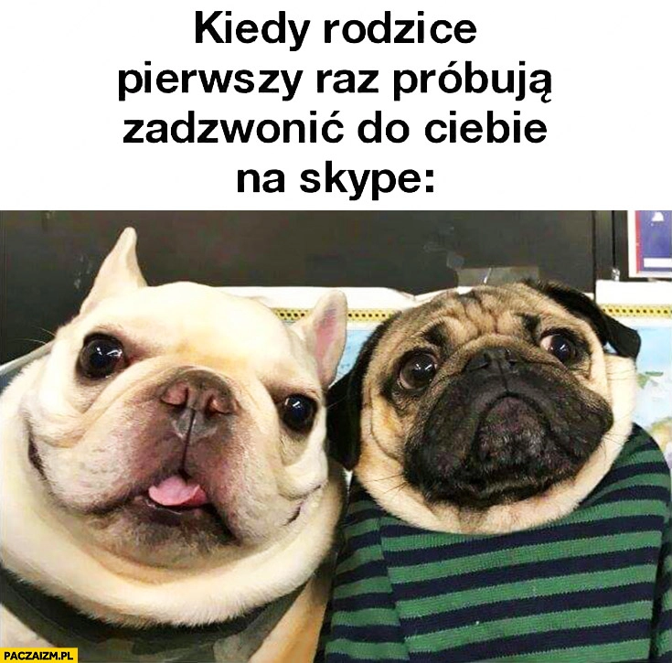 
    Kiedy rodzice pierwszy raz próbują zadzwonić do Ciebie na Skype psy