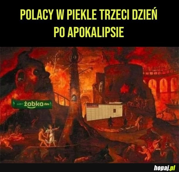 Szybka adaptacja