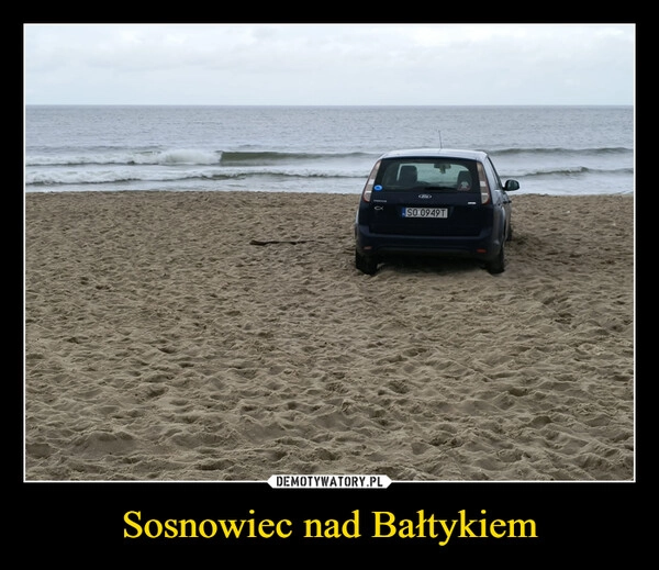 
    Sosnowiec nad Bałtykiem