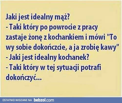 
    Idealny mąż, idealny kochanek 