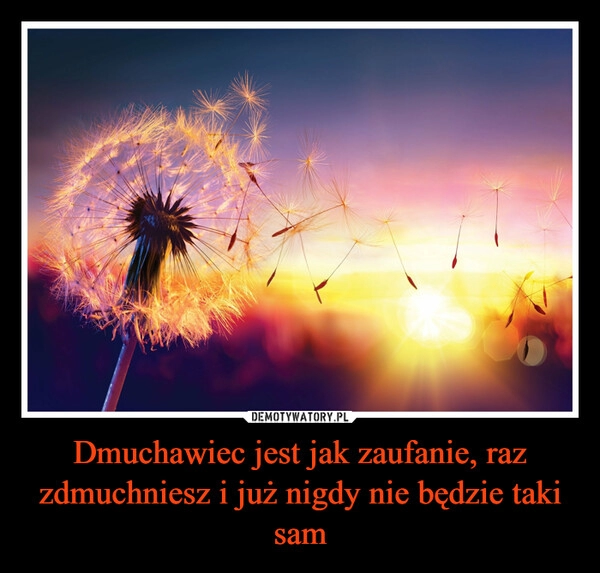 
    Dmuchawiec jest jak zaufanie, raz zdmuchniesz i już nigdy nie będzie taki sam 