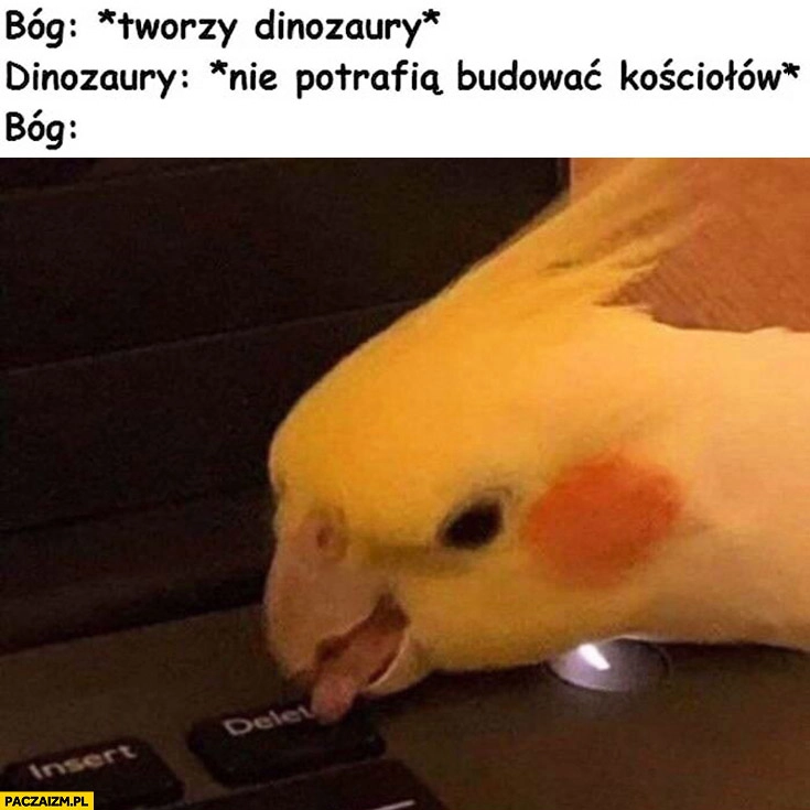 
    Bóg tworzy dinozaury nie potrafią budować kościołów, Bóg wciska delete papuga