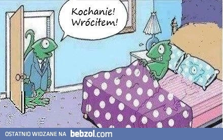 
    Kochanie wróciłem