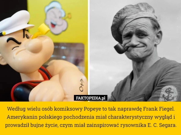 
    Według wielu osób komiksowy Popeye to tak naprawdę Frank Fiegel. Amerykanin