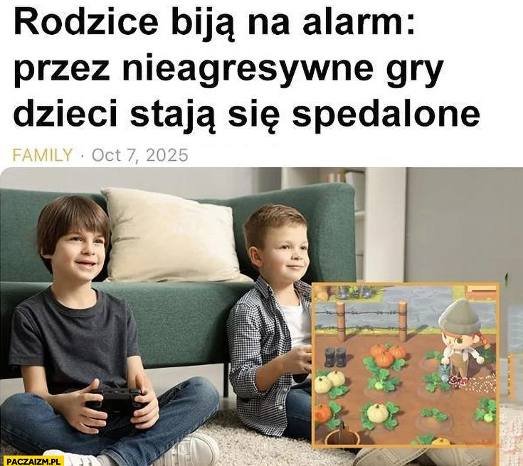 
    Rodzice biją na alarm przez nieagresywne gry dzieci staja się spedalone