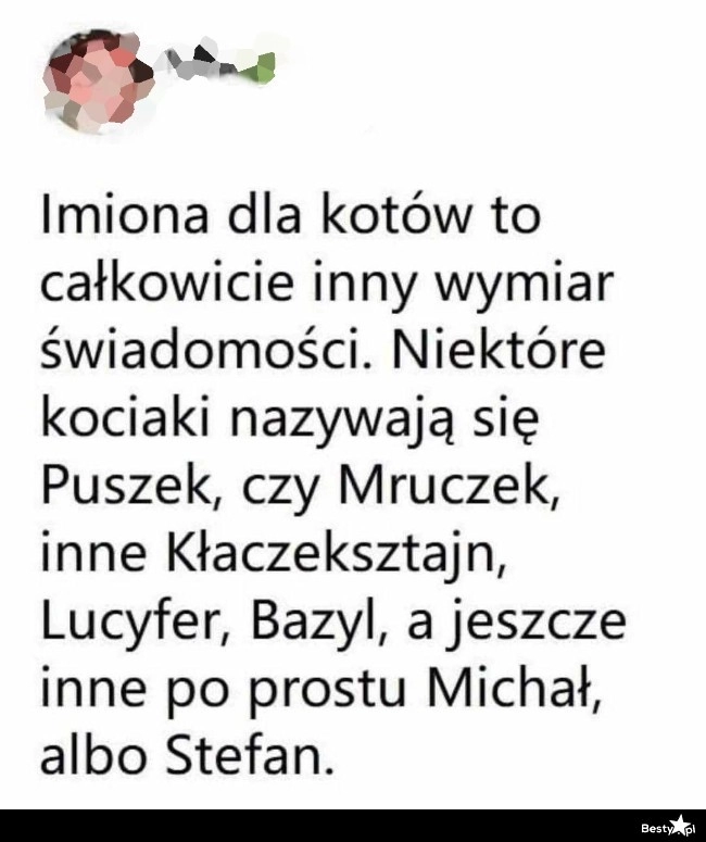 
    Imiona dla kotów 