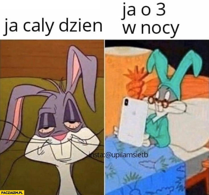 
    Na cały dzień nieprzytomny vs ja o 3 w nocy czyta królik Bugs