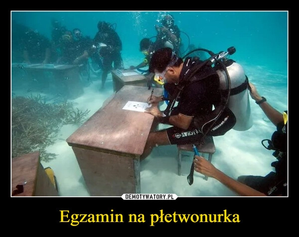 
    Egzamin na płetwonurka